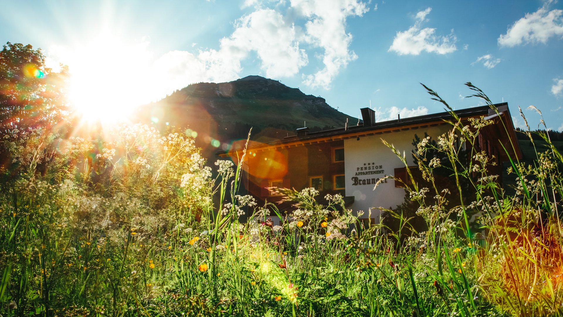 Ihre Ferienwohnung in Lech am Arlberg Sonniger Berg mit blühender Wiese und Pension Braunet im Hintergrund